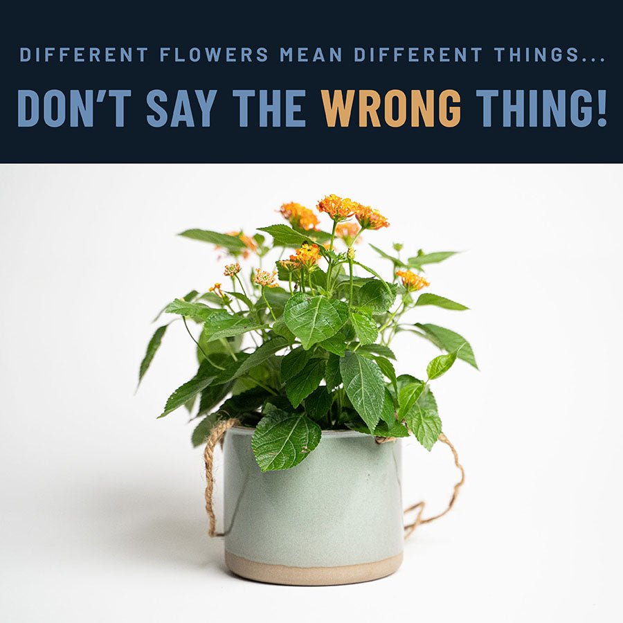 HELP! What Do These Flowers Mean??? - Holtz Leather