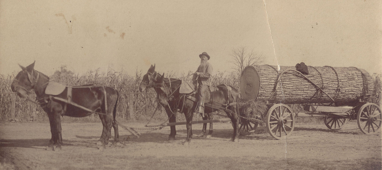 Holtz Leather Millworks - It's In Our Blood. - Holtz Leather