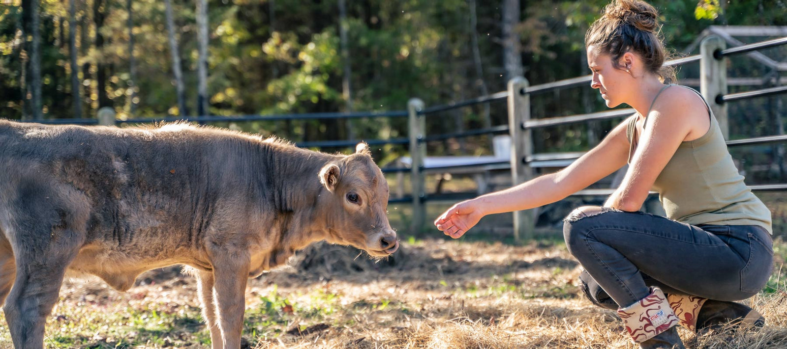 We Bought a Zoo... - Holtz Leather