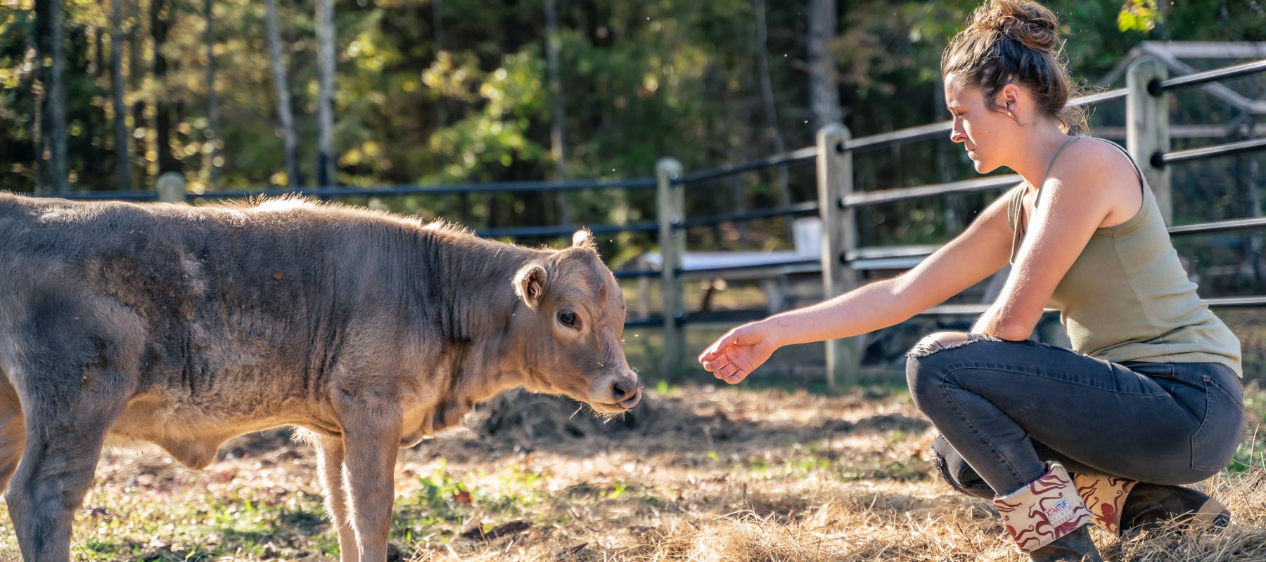 We Bought a Zoo... - Holtz Leather