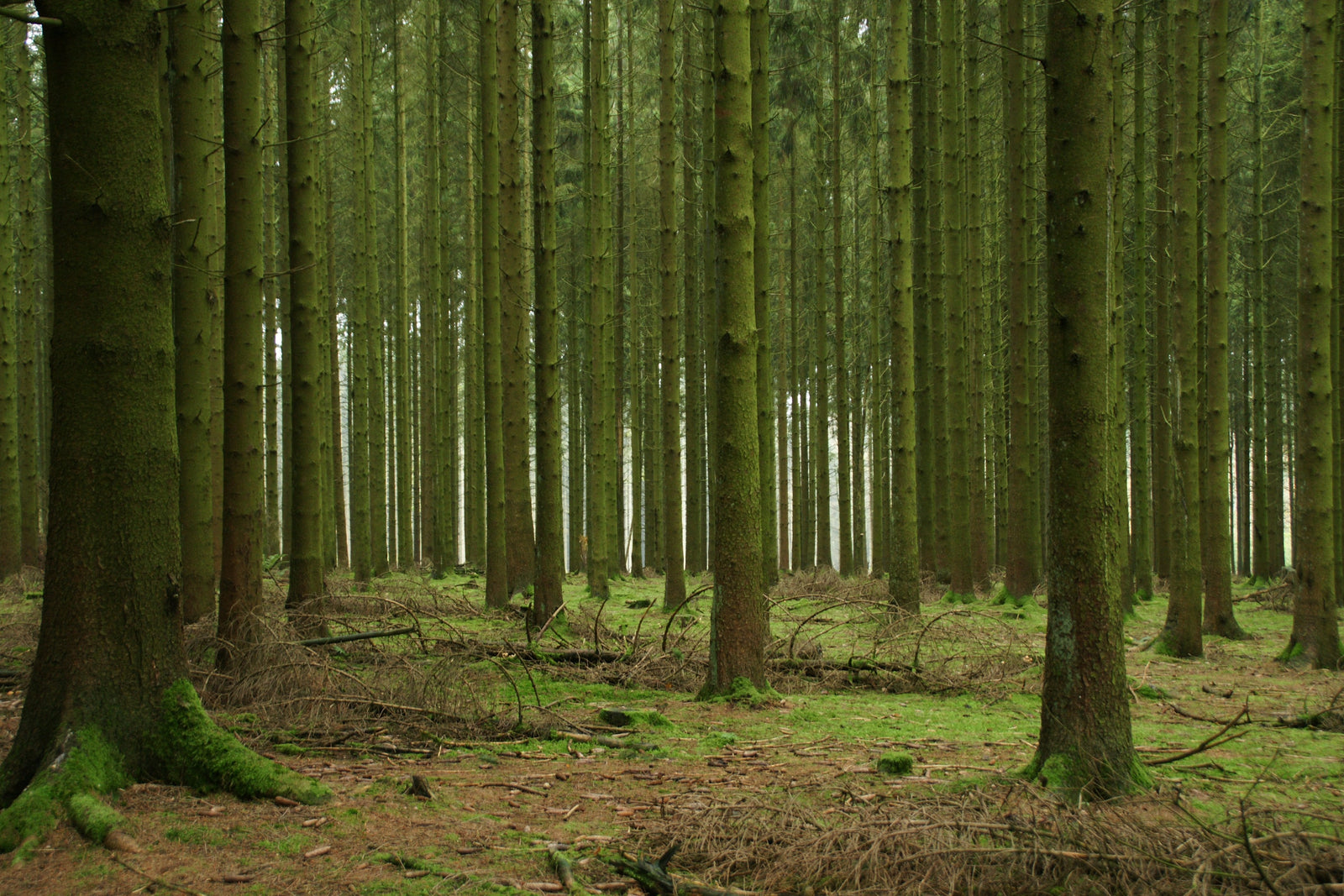 When he has a LOADED GUN and I don't... - Holtz Leather