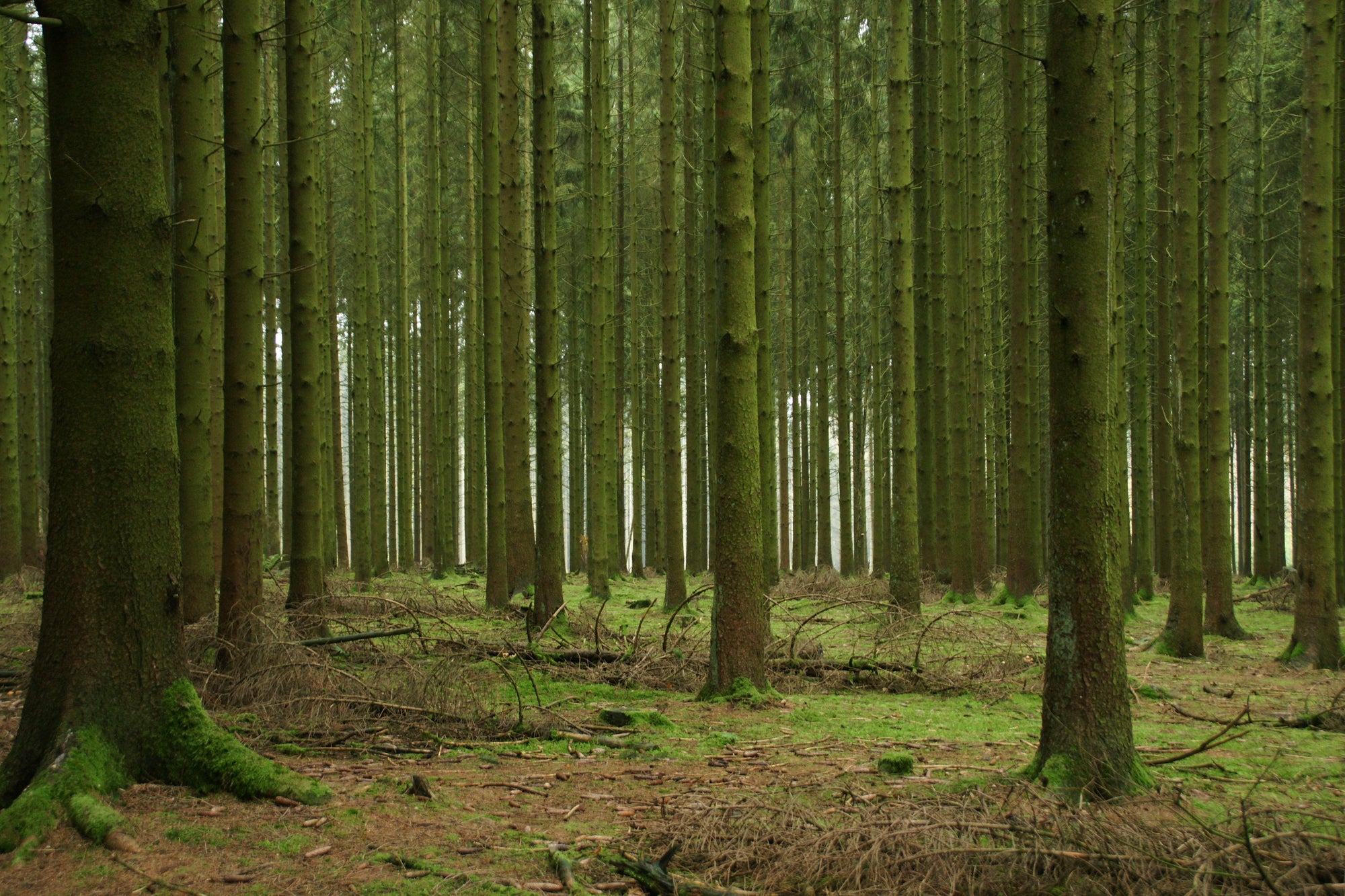 When he has a LOADED GUN and I don't... - Holtz Leather