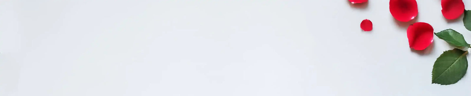 Valentine's Day Gifts