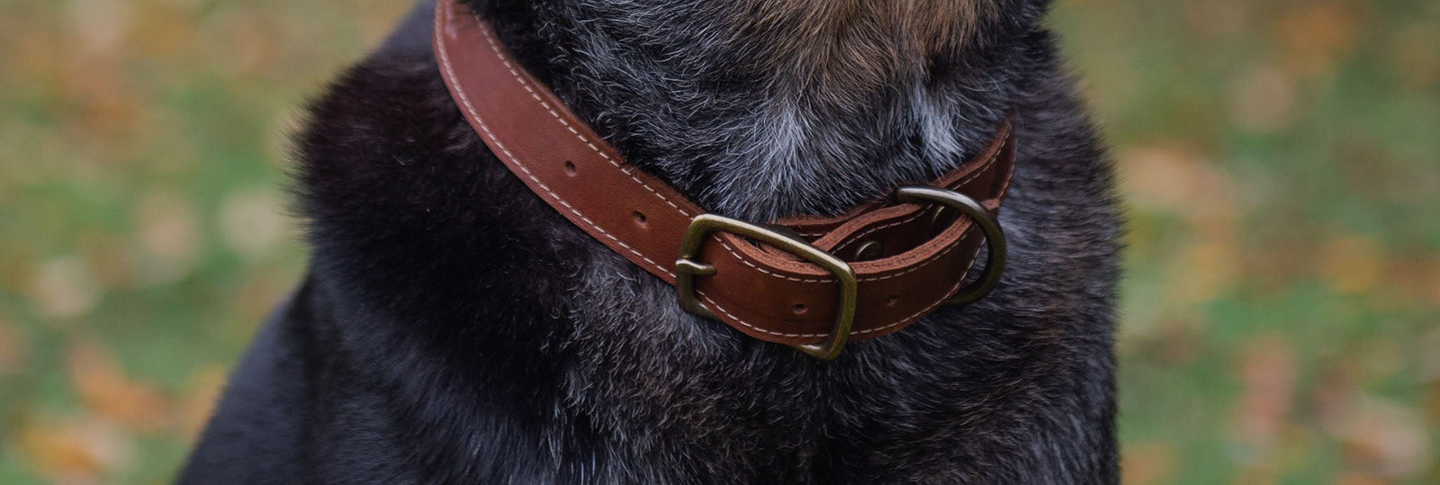 Pets - Holtz Leather