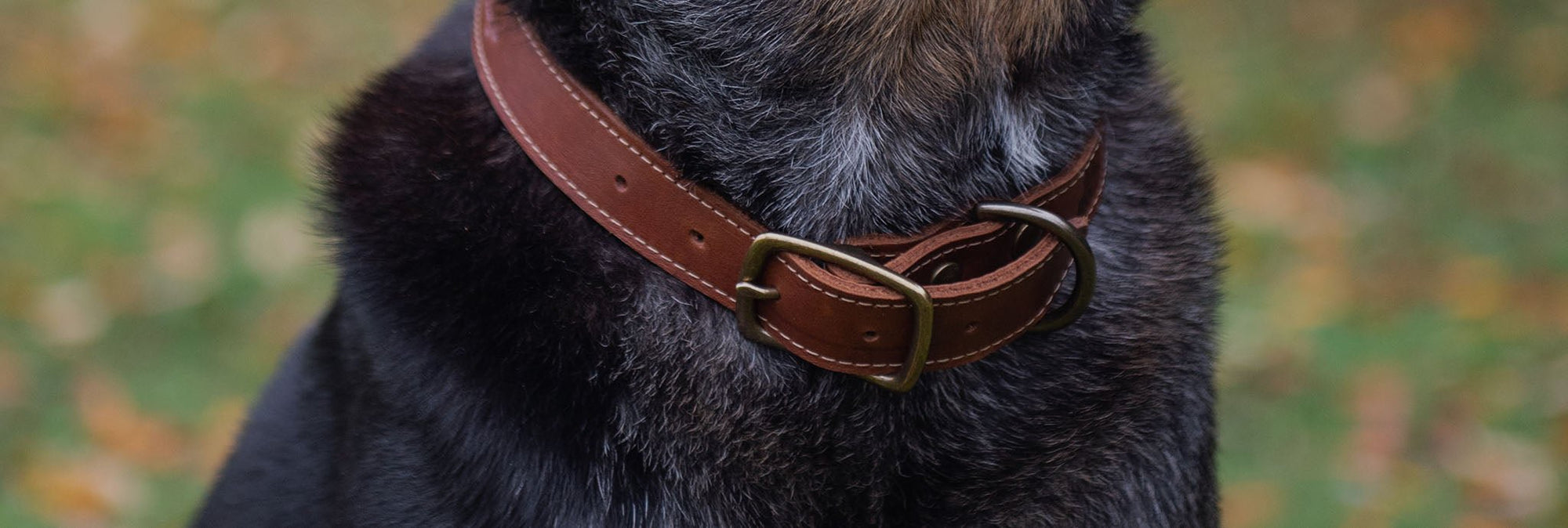 Pets - Holtz Leather