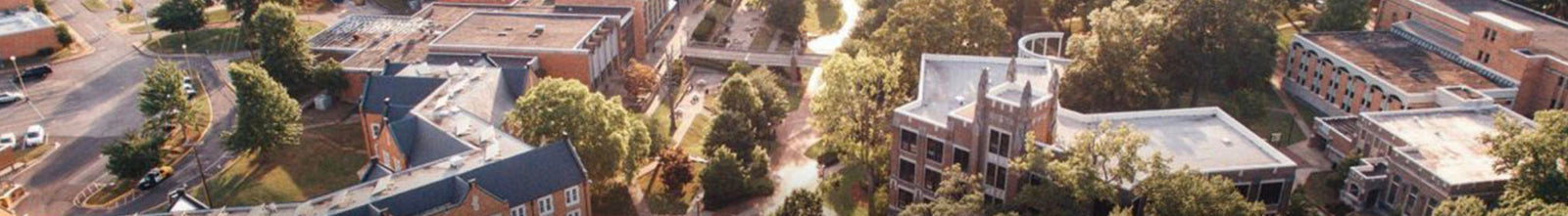 The UNA Collection - Holtz Leather