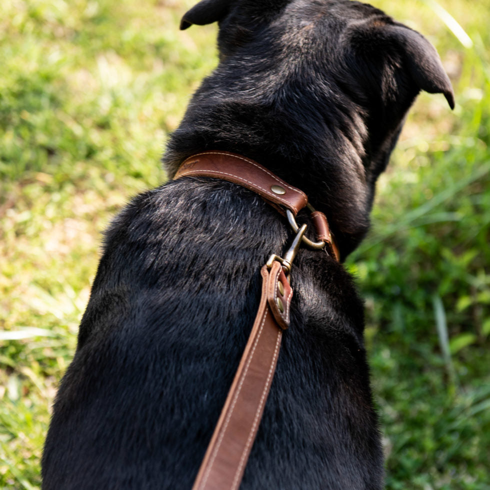 Personalized Fine Leather Dog Leash
