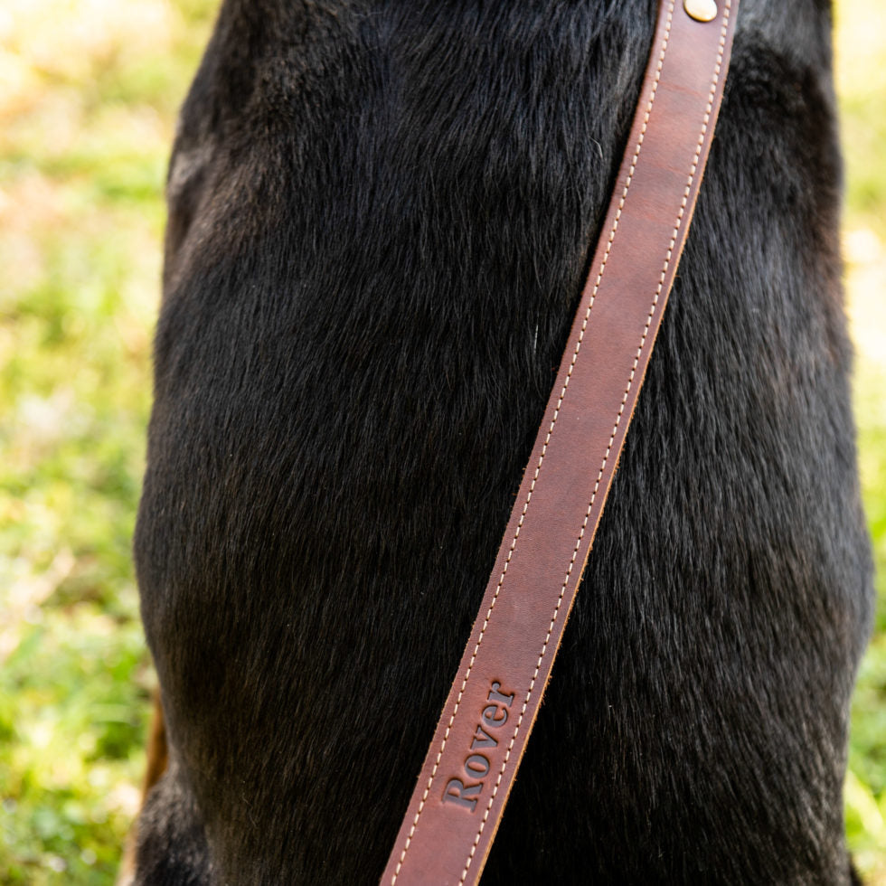Personalized Fine Leather Dog Leash