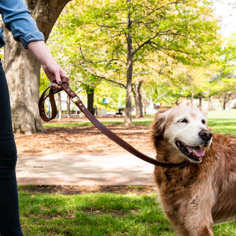 Personalized Fine Leather Dog Leash