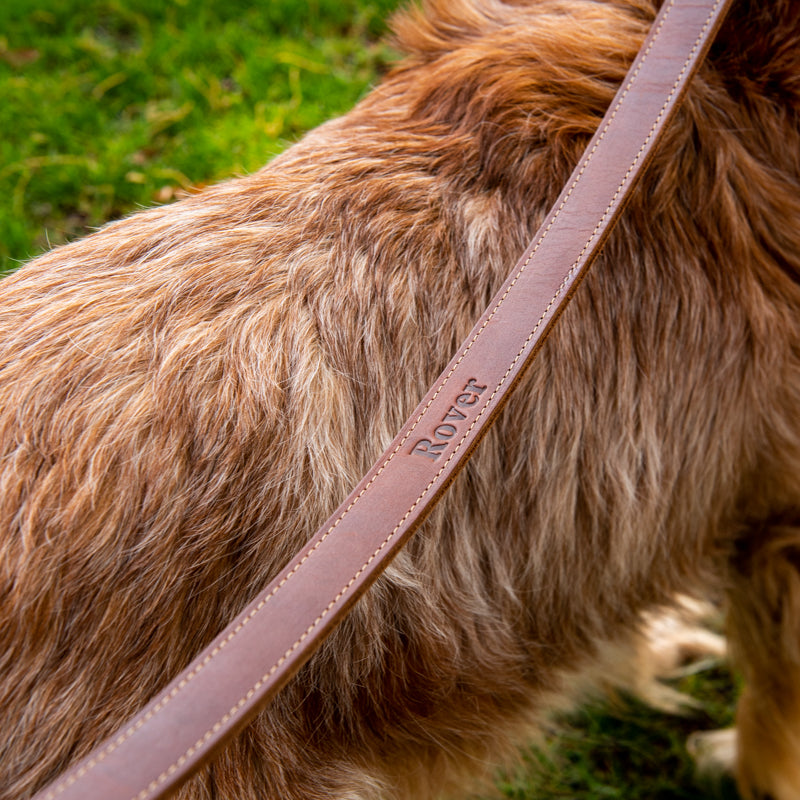 Personalized Fine Leather Dog Leash
