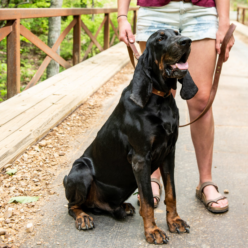 Personalized Fine Leather Dog Leash