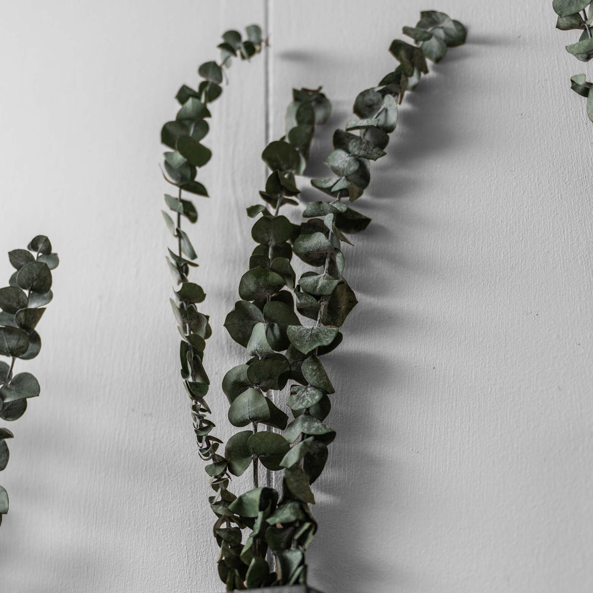 Slim 12 Inch Wood Wall Planter Sconce Vase with Pocket & Eucalyptus - Holtz Leather