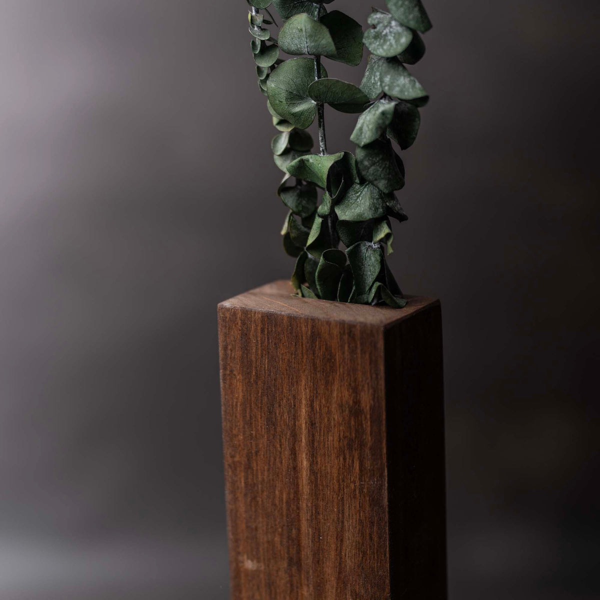 Slim 12 Inch Wood Wall Planter Sconce Vase with Pocket & Eucalyptus - Holtz Leather