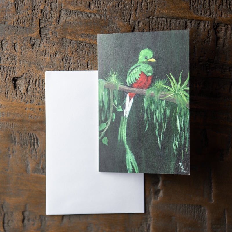 Tropical Bird Stationery Set Of 8 By Madison Holtz Butler