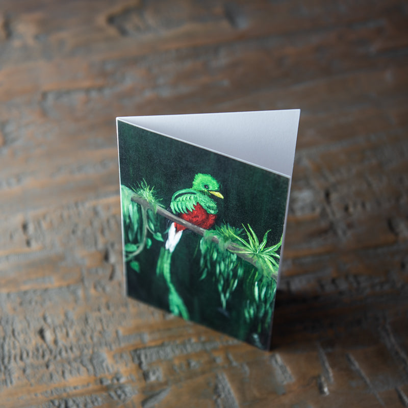Tropical Bird Stationery Set Of 8 By Madison Holtz Butler