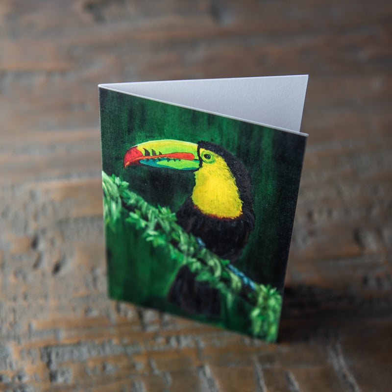 Toucan Stationery Set Of 4 By Madison Holtz Butler - Holtz Leather
